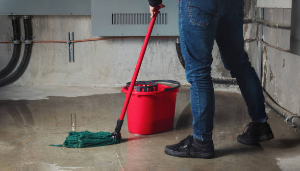 Best Water damage cleanup near me  in Groves, TX